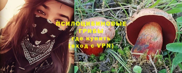 ешки Балахна