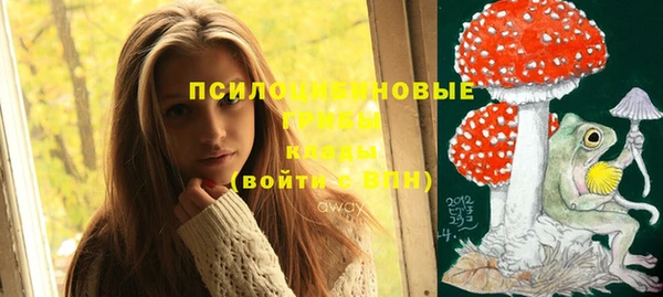 ешки Балахна