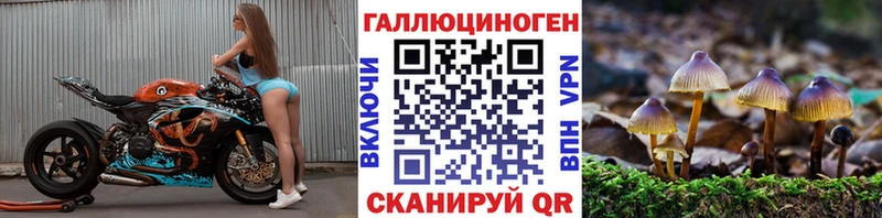 купить  сайты  Северобайкальск  маркетплейс наркотические препараты  Псилоцибиновые грибы MAGIC MUSHROOMS 